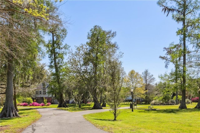 192 Forest Oaks Dr, New Orleans, LA 70131 - view of property's community featuring aphalt driveway and a lawn