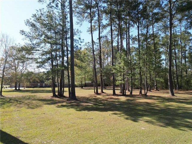 TRACTBA-1 Ivy Springs Rd, Independence, LA 70443