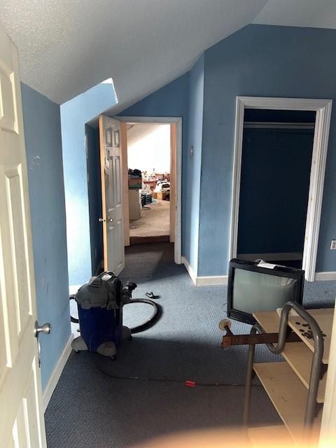 3801 Tchoupitoulas St, New Orleans, LA 70115 - workout room featuring baseboards, carpet flooring, and vaulted ceiling