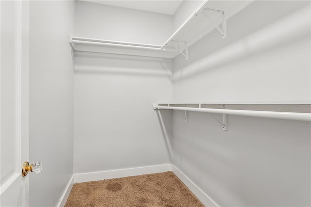 444244 S Johnson St, New Orleans, LA 70125 - walk in closet with carpet