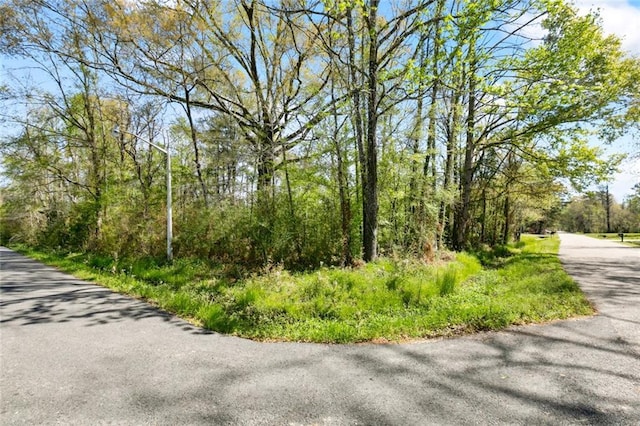 LOT1-A Meadow Lark Ln, Denham Springs, LA 70726