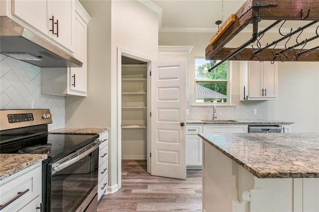 31527 Meadow Lark Ln, Denham Springs, LA 70726 - kitchen with tasteful backsplash, electric range, under cabinet range hood, a sink, and light wood-type flooring