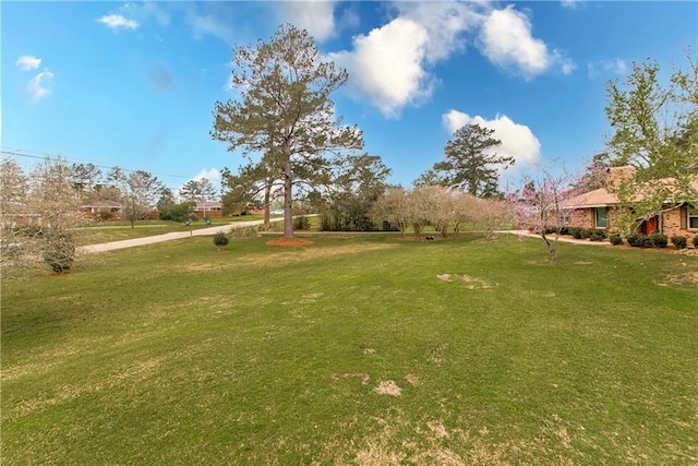 59345 Twin Pines Rd, Bogalusa, LA 70427 - view of yard