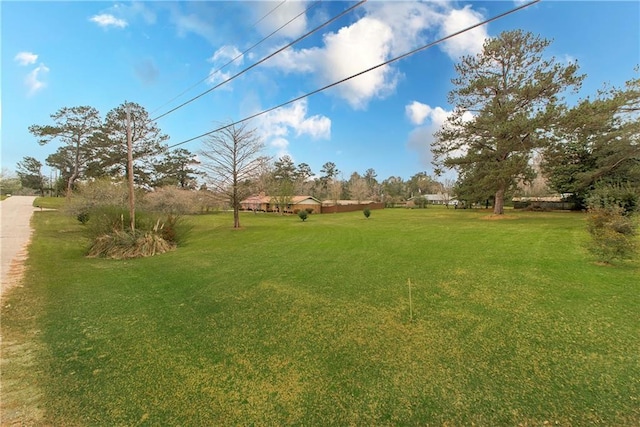 59345 Twin Pines Rd, Bogalusa, LA 70427 - view of yard