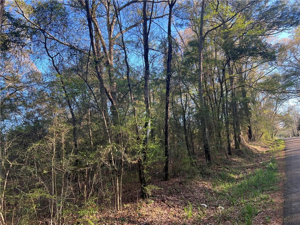 Military Rd, Angie, LA 70426 - photo 2