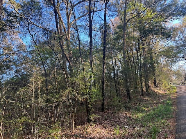 Military Rd, Angie, LA 70426 - photo 2