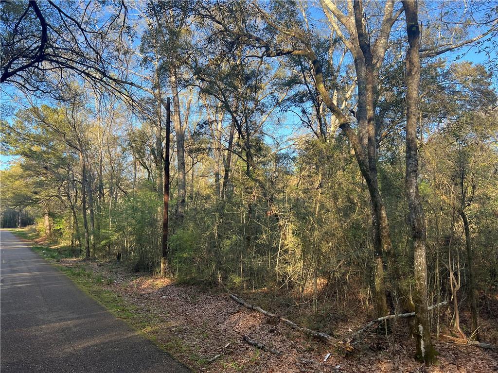 Military Rd, Angie, LA 70426 - photo 3