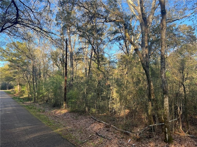 Military Rd, Angie, LA 70426 - photo 3