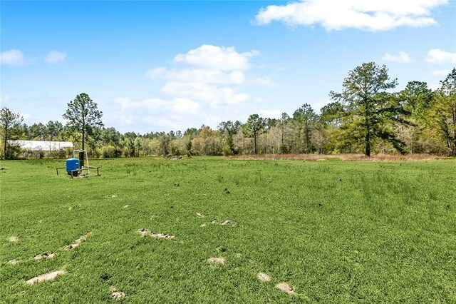 80055 Rollo Rd, Bush, LA 70431 - view of yard