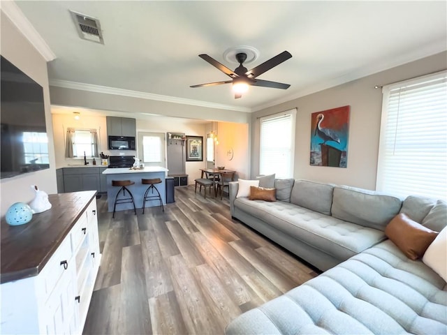 living area with dark wood-style floors, visible vents, crown molding, and ceiling fan