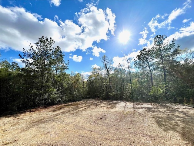 84285 Tasso Pierce Rd, Bogalusa, LA 70427 - photo 5