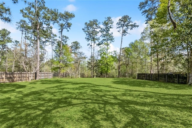 238 Blue Crane 1 Dr, Slidell, LA 70461 - view of yard with fence