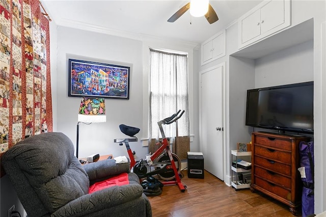 interior space with a ceiling fan, wood finished floors, and crown molding
