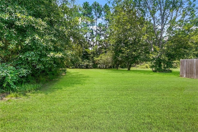 65398 Maple St, Mandeville, LA 70448 - view of yard