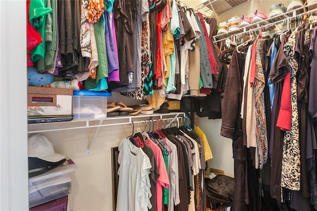 view of spacious closet