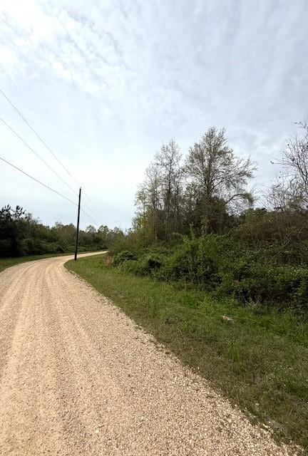 39.9AC True Light Church Rd, Bogalusa, LA 70427 - photo 1