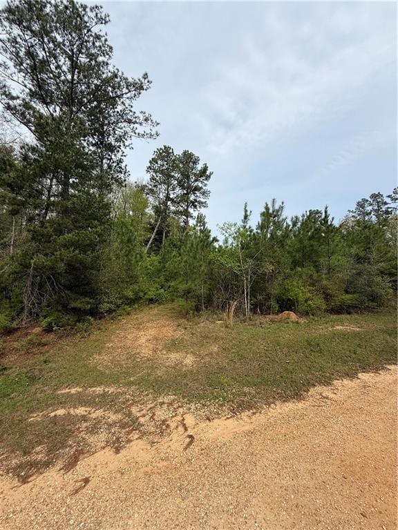 39.9AC True Light Church Rd, Bogalusa, LA 70427 - photo 2