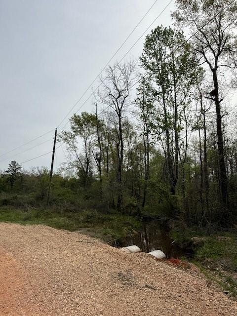 39.9AC True Light Church Rd, Bogalusa, LA 70427 - photo 4