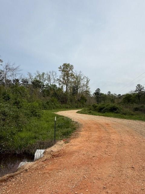 39.9AC True Light Church Rd, Bogalusa, LA 70427 - photo 5