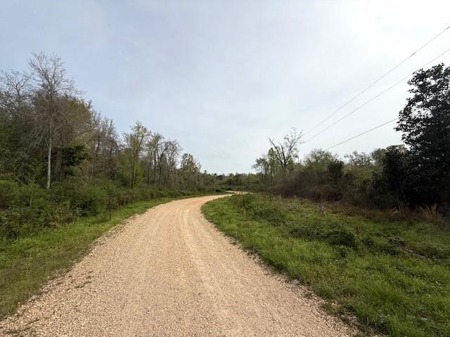 39.9AC True Light Church Rd, Bogalusa, LA 70427 - photo 6