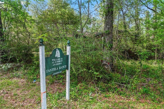 11795 Tantela Ranch Rd, Folsom, LA 70437 - photo 29