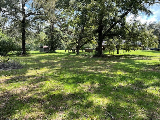 11053 Baham Rd, Folsom, LA 70437 - photo 5