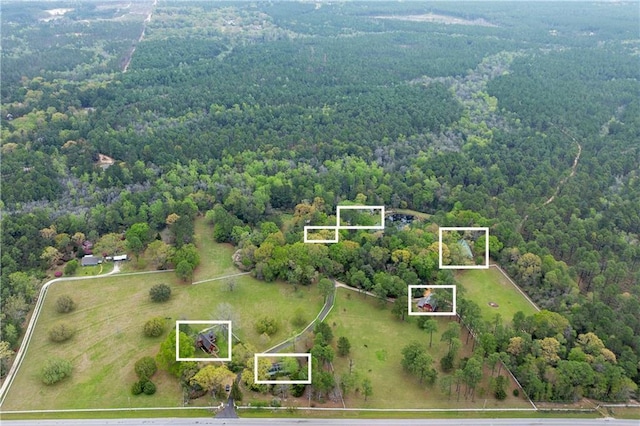 bird's eye view with a forest view