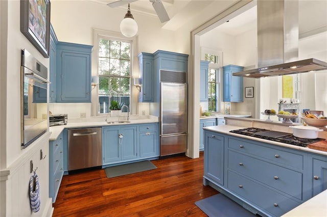 kitchen featuring a sink, island range hood, stainless steel appliances, and blue cabinetry
