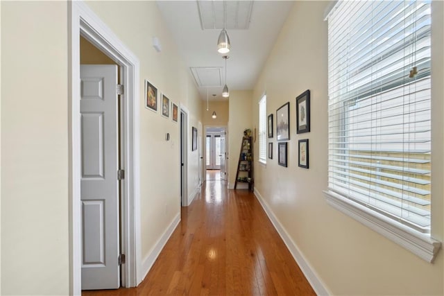 corridor featuring hardwood / wood-style floors, baseboards, visible vents, and attic access
