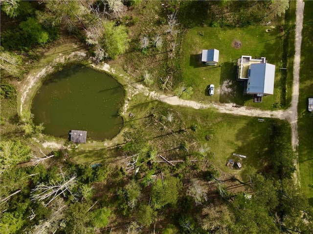 34310 Bluff Line Rd, Independence, LA 70443 - bird's eye view