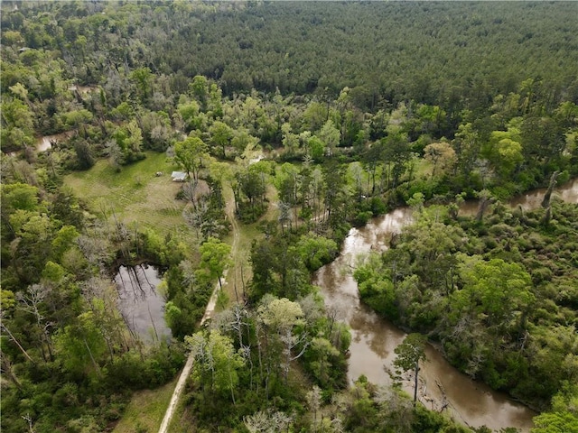 34310 Bluff Line Rd, Independence, LA 70443