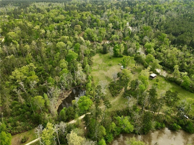 34310 Bluff Line Rd, Independence, LA 70443