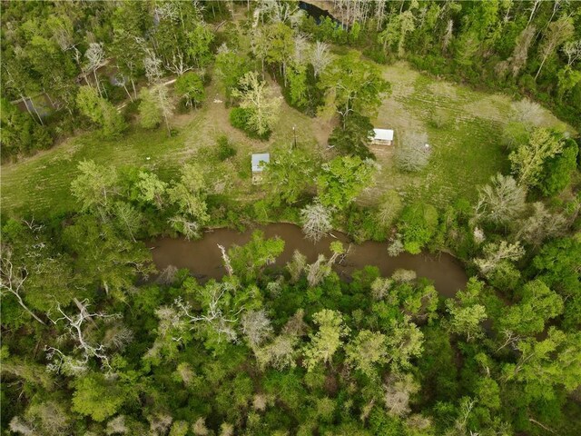 34310 Bluff Line Rd, Independence, LA 70443