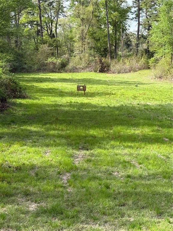 34310 Bluff Line Rd, Independence, LA 70443