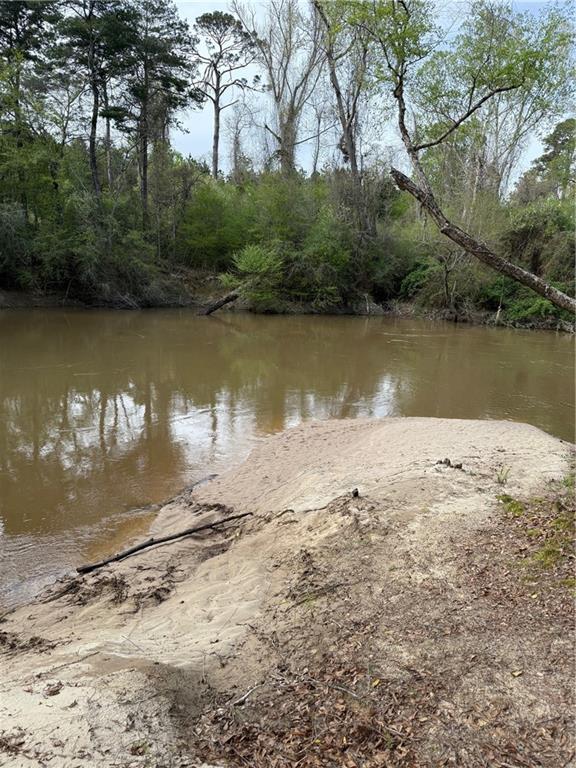 34310 Bluff Line Rd, Independence, LA 70443