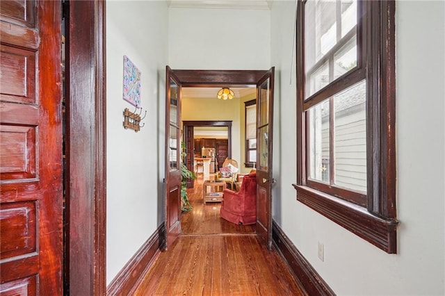 hallway with hardwood / wood-style floors, ornamental molding, and baseboards