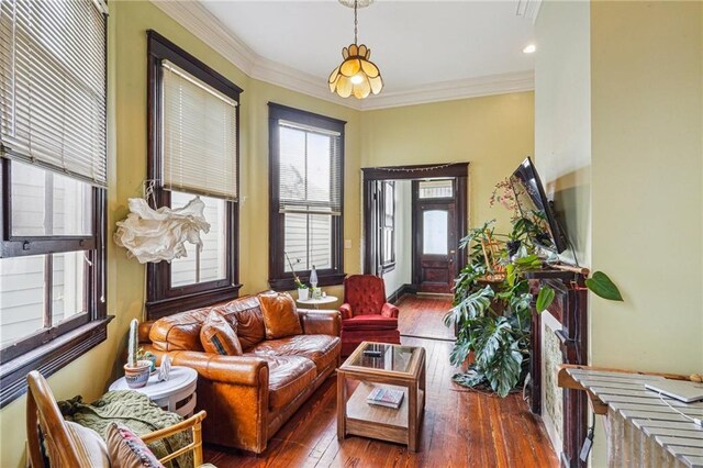 living room with wood-type flooring and crown molding