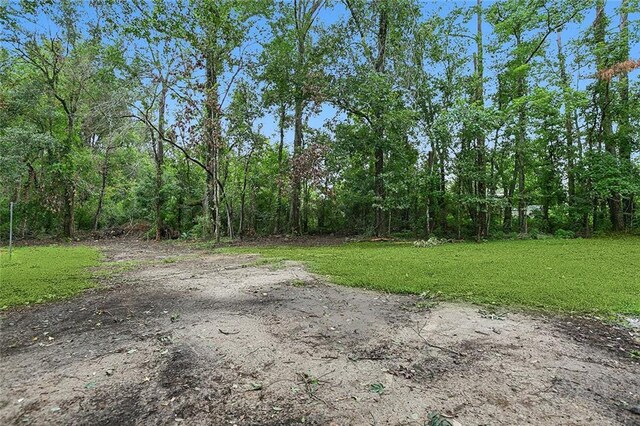 18155 La Highway 16, Denham Springs, LA 70726 - view of road featuring a forest view