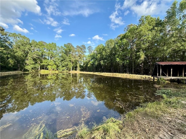 47116 N Morrison Blvd, Hammond, LA 70401 - water view featuring a forest view