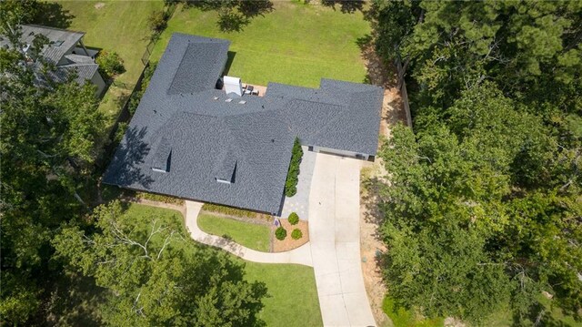 bird's eye view