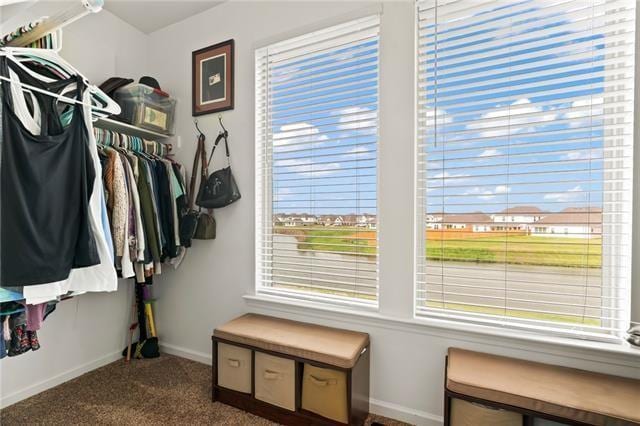 405 Short Bough Ln, Slidell, LA 70461 - walk in closet with carpet flooring
