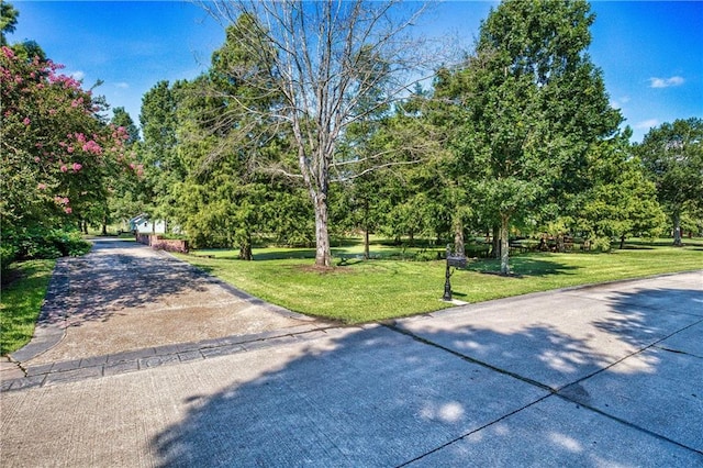view of front facade with driveway and a front yard