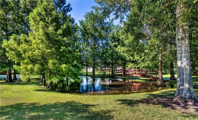 view of home's community featuring a water view and a yard