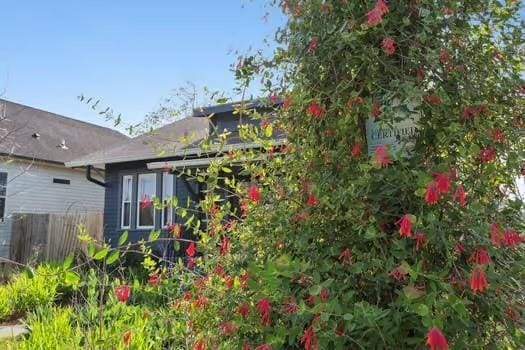 4674 Venus St, New Orleans, LA 70122 - view of side of home