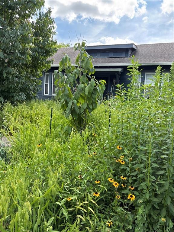 4674 Venus St, New Orleans, LA 70122 - view of property exterior with roof with shingles