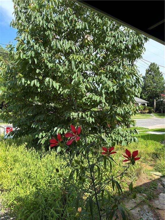 4674 Venus St, New Orleans, LA 70122 - view of yard