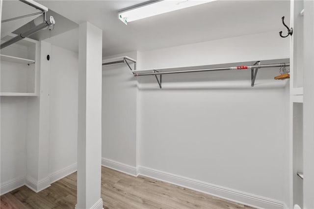 walk in closet featuring wood finished floors