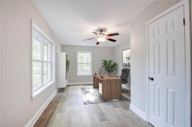 21216 Gardenia St, Covington, LA 70435 - office area featuring ceiling fan and light wood finished floors
