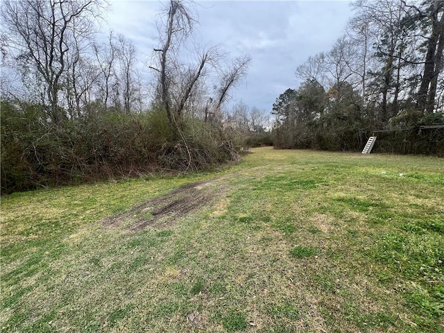 10480 Lee Settlement Rd, Folsom, LA 70437 - photo 32