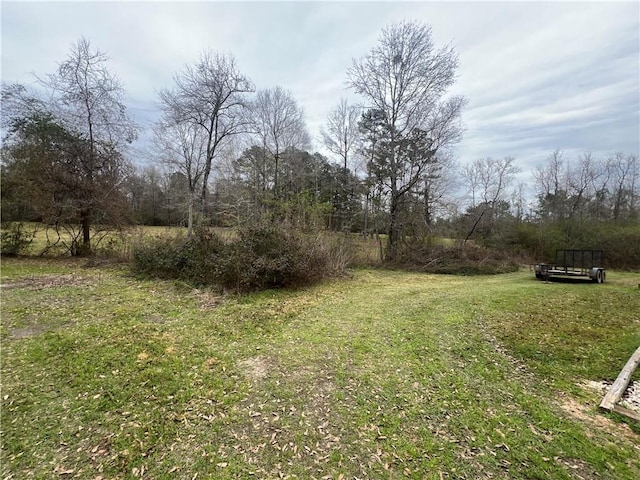 10480 Lee Settlement Rd, Folsom, LA 70437 - photo 35